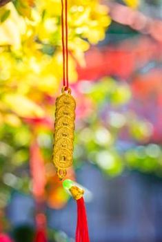 bầu cua di động MB66